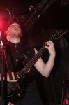 Gallery image 30