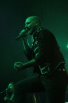 Gallery image 29
