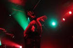 Gallery image 38