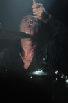 Gallery image 38