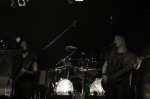 Gallery image 38