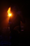 Gallery image 39