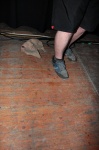 Gallery image 64