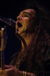 Gallery image 50