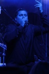 Gallery image 20
