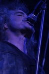 Gallery image 38
