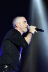 Gallery image 39