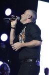 Gallery image 13