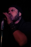 Gallery image 30
