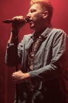 Gallery image 10