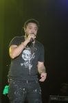Gallery image 39