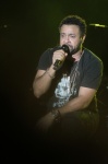 Gallery image 38