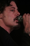 Gallery image 38