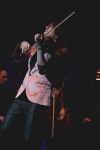 Gallery image 20