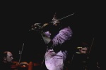 Gallery image 42