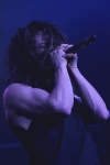 Gallery image 21