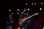 Gallery image 38