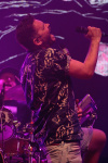 Gallery image 29