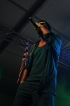 Gallery image 39