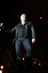 Gallery image 37