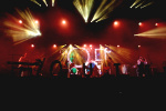 Gallery image 25