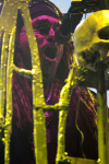Gallery image 22