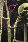 Gallery image 23