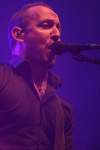 Gallery image 36
