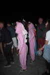 Gallery image 42