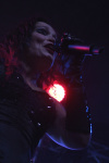 Gallery image 20