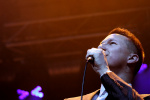 Gallery image 38
