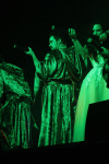 Gallery image 67