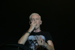 Gallery image 38