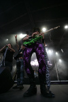 Gallery image 12