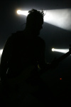 Gallery image 11