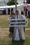 Gallery image 20