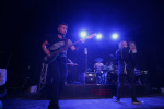 Gallery image 21