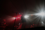 Gallery image 20