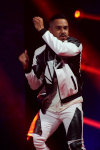 Gallery image 10