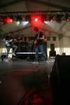 Gallery image 22