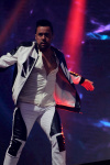 Gallery image 11