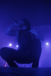 Gallery image 24