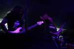 Gallery image 11