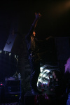 Gallery image 53