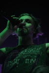 Gallery image 9