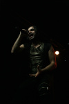 Gallery image 13