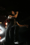 Gallery image 30