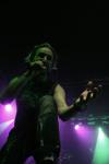 Gallery image 11