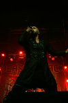 Gallery image 11