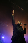 Gallery image 38